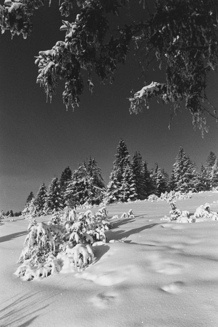 Winterlandschaft bei Blasiwald-Althütte