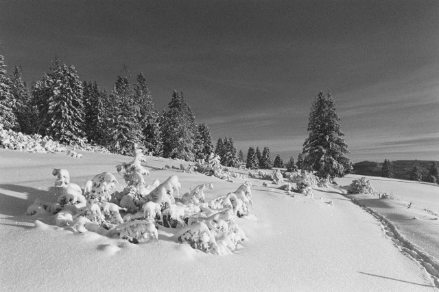 Winterlandschaft bei Blasiwald-Althütte