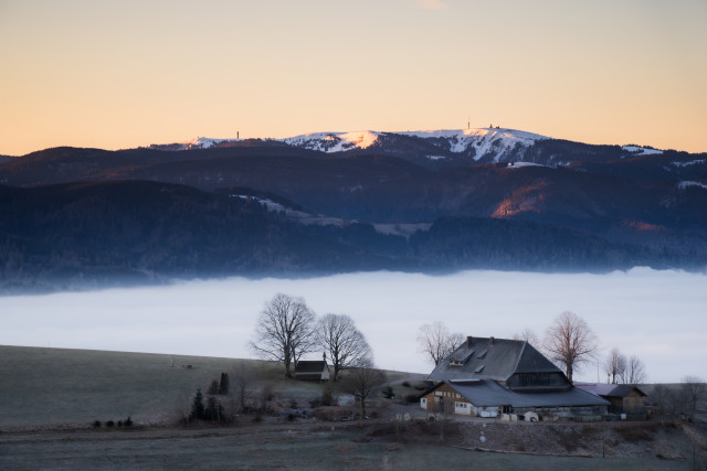 Vorderwillmenhof und Feldberg