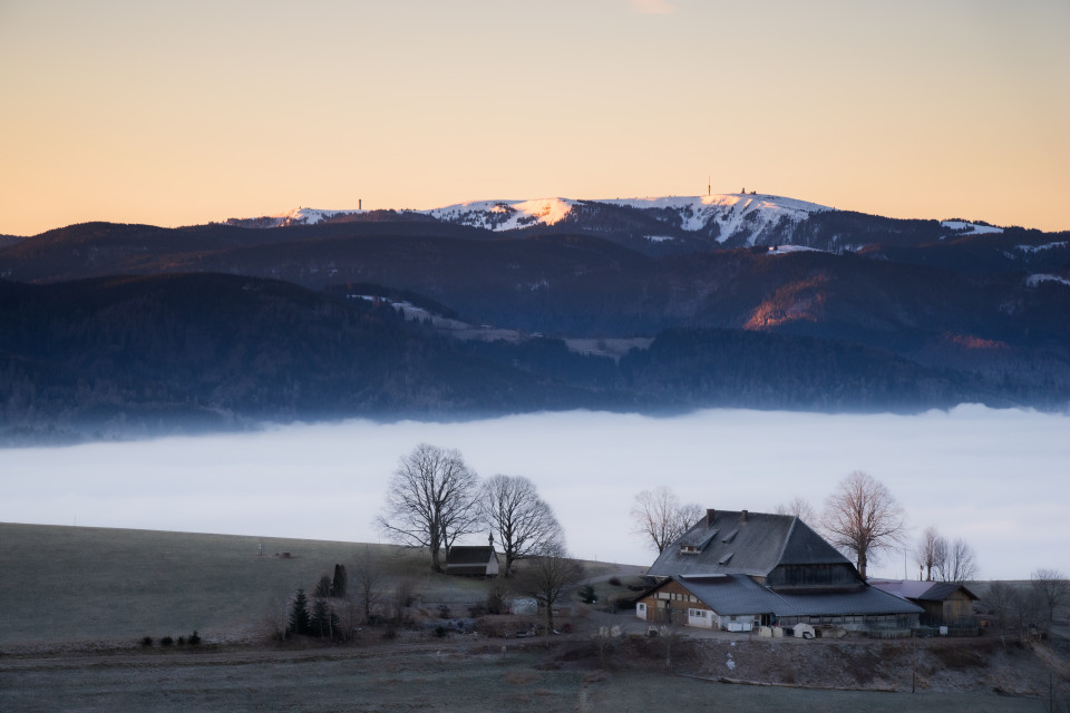 Vorderwillmenhof und Feldberg