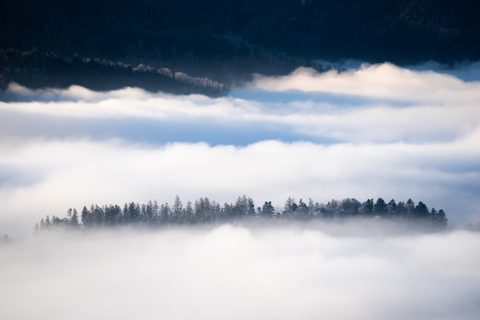 Nebelmeer über dem Dreisamtal