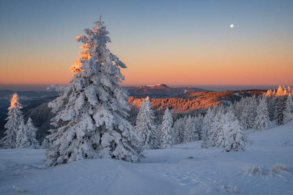 Wintermorgen auf dem Feldberg