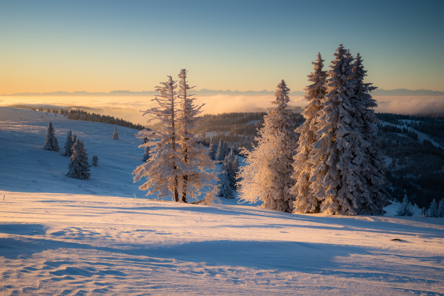 Wintermorgen auf dem Feldberg