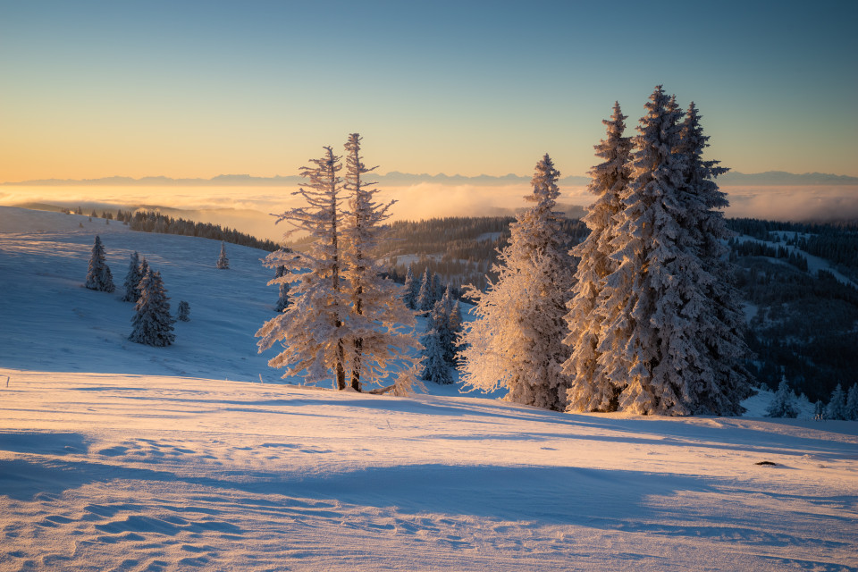 Wintermorgen auf dem Feldberg