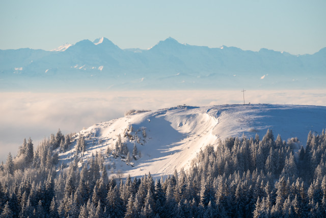 Blick über das Herzogenhorn zu den Alpen
