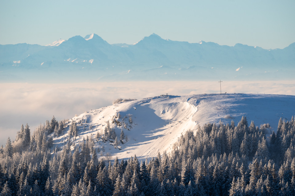 Blick über das Herzogenhorn zu den Alpen