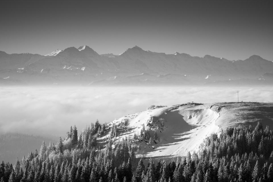 Blick über das Herzogenhorn zu den Alpen