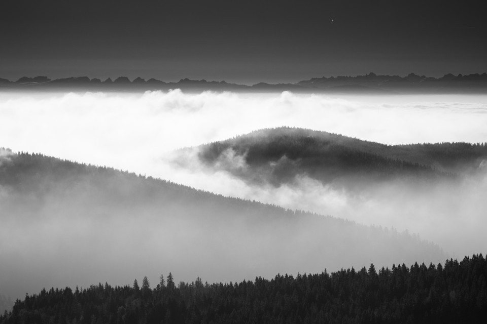 Alpensicht bei Inversion auf dem Feldberg