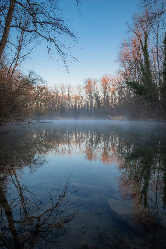 Im Möhlinwald bei Breisach