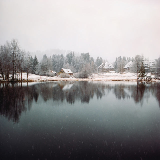 Schneefall am Adlerweiher