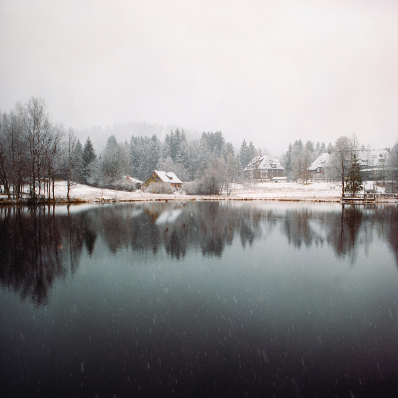 Schneefall am Adlerweiher