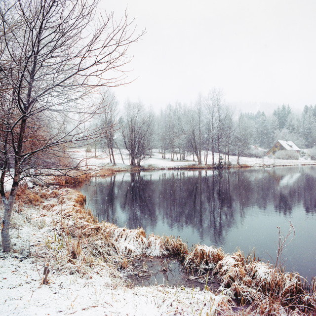 Schneefall am Adlerweiher