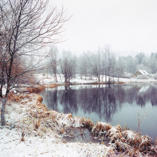Schneefall am Adlerweiher