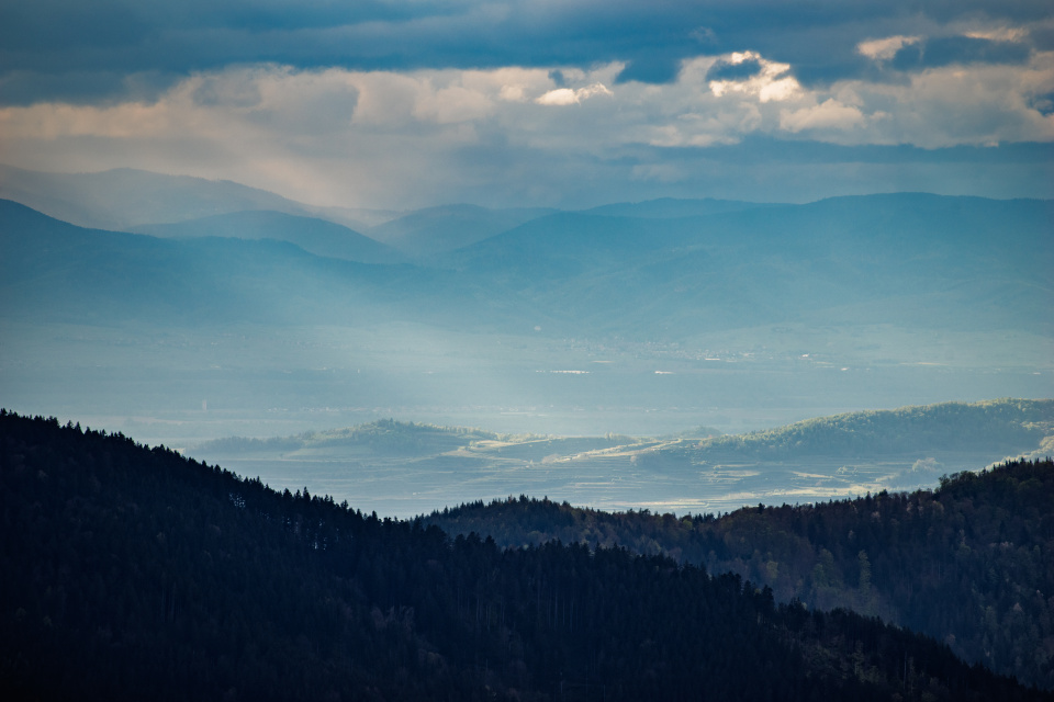Blick zu den Vogesen