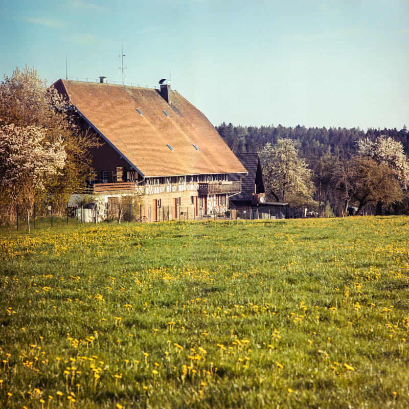 Bauernhaus in Buchenberg