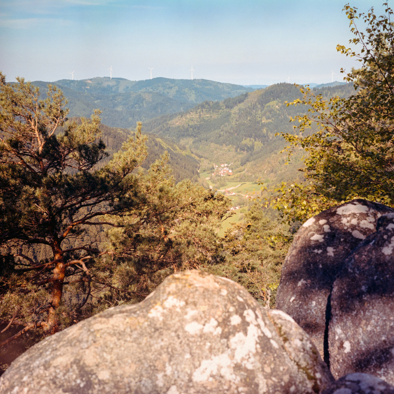 Aussicht vom Apfelfelsen über das Reichenbachtal
