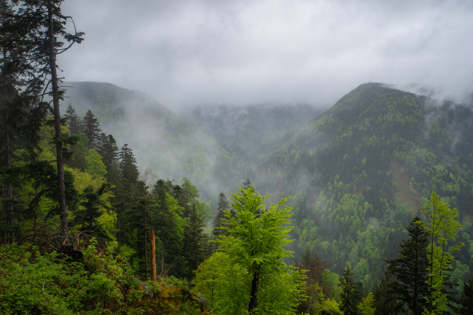 Blick ins hintere Zastlertal