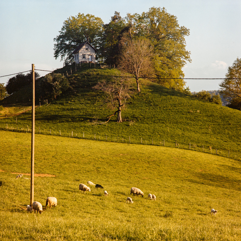 Spitzenbühl
