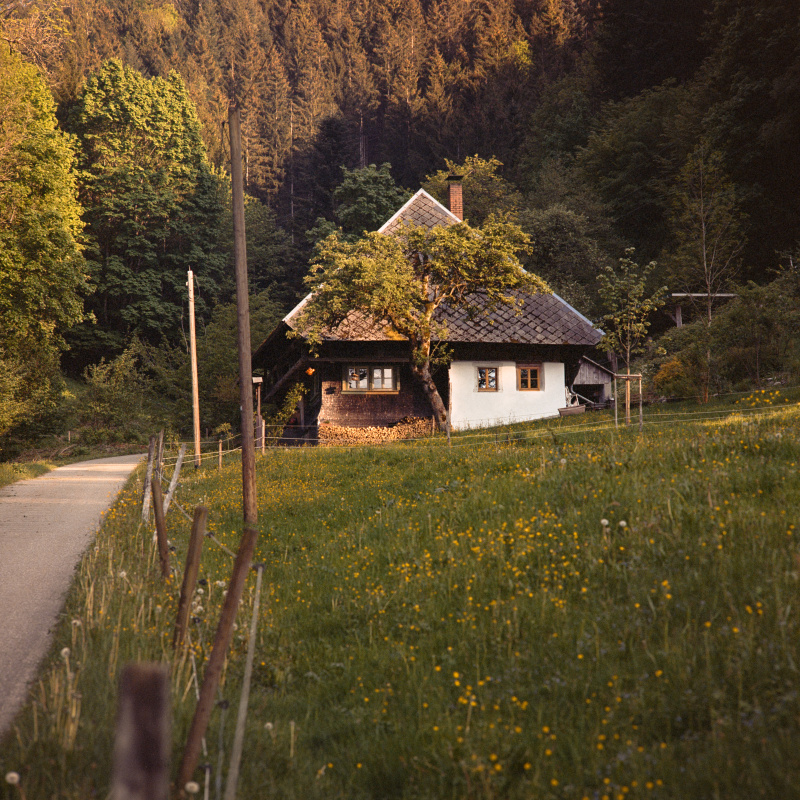 Rufenhof im Diezendobel