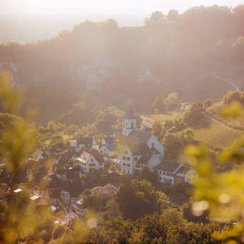 Blick über Istein