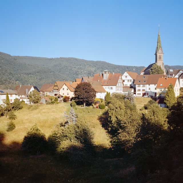 Fotogalerie Analog: Farbe