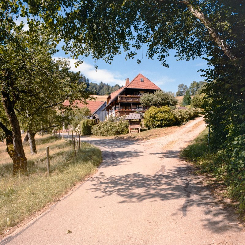 Rechtenbach, Thomasberghof