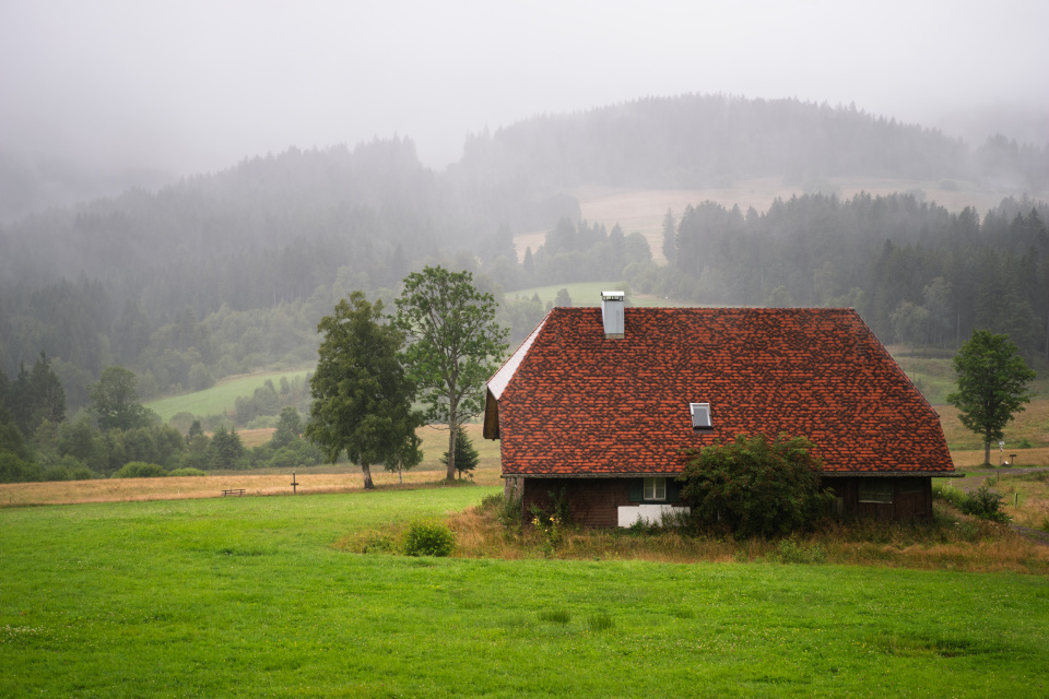 Sommerregen zwischen Hinterzarten und Feldberg
