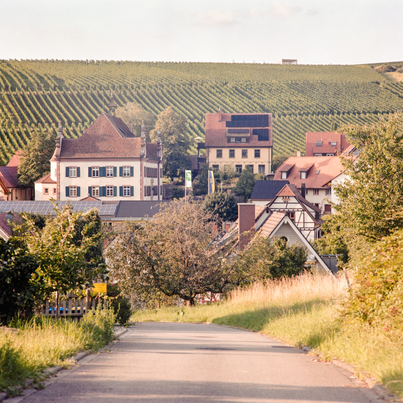 Blick auf Ebringen