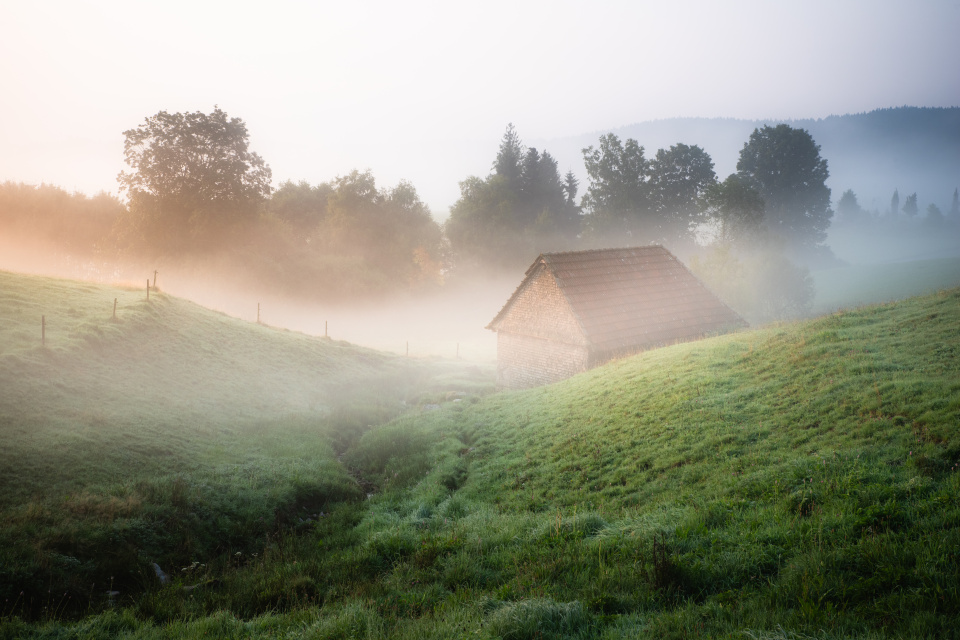 Am Altenwegbächle bei Hinterzarten