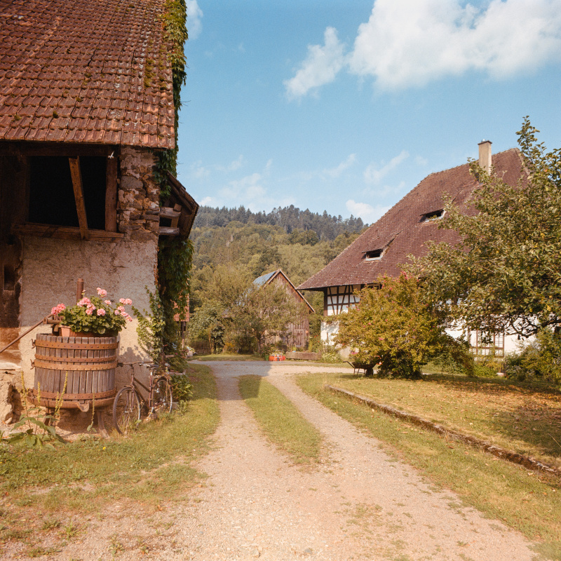 Kreuzbauernhof im Föhrental