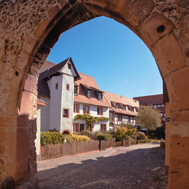 Ladenburg, Jesuitenhof