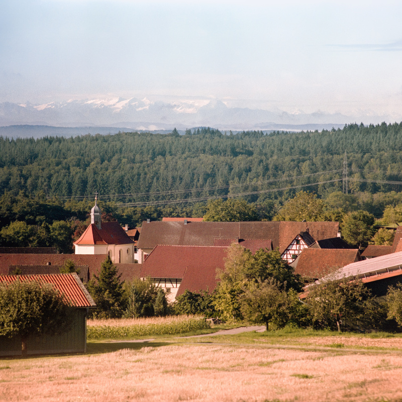 Blick über Eckartsbrunn