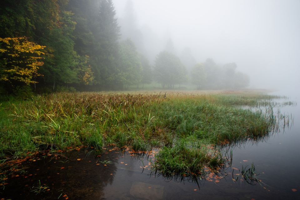 Feldsee im Nebel