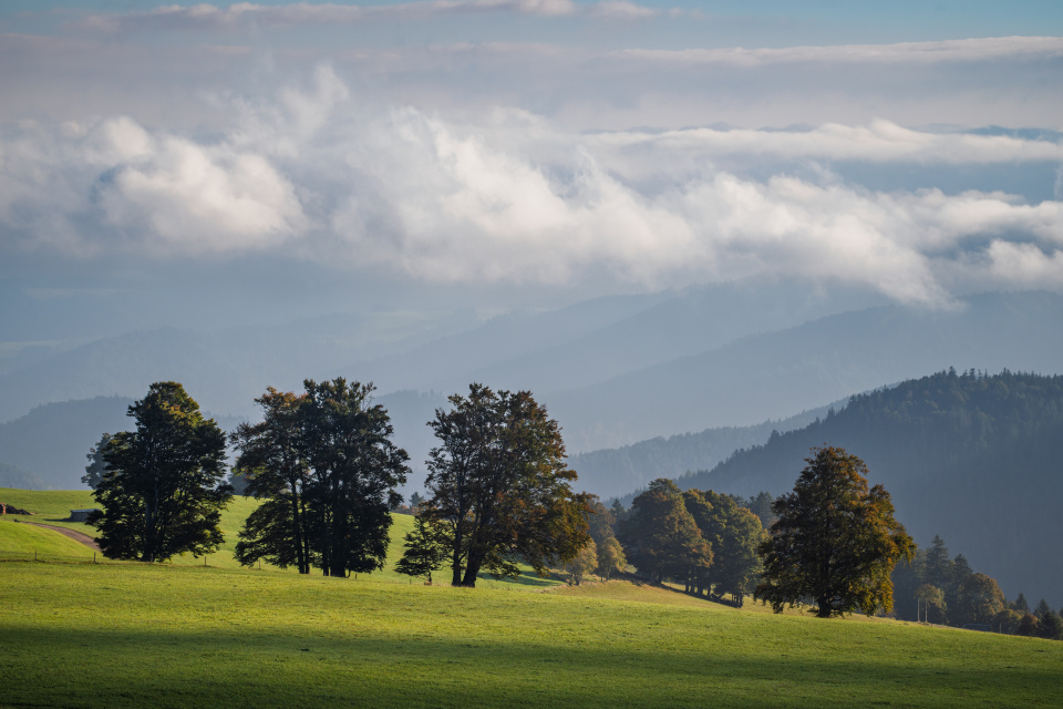 Herbststimmung am Schauinsland