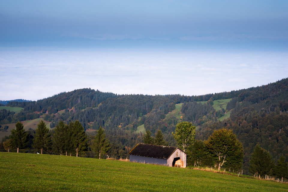 Herbststimmung am Schauinsland