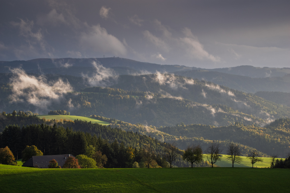 Feldbergblick am Kapfenberg