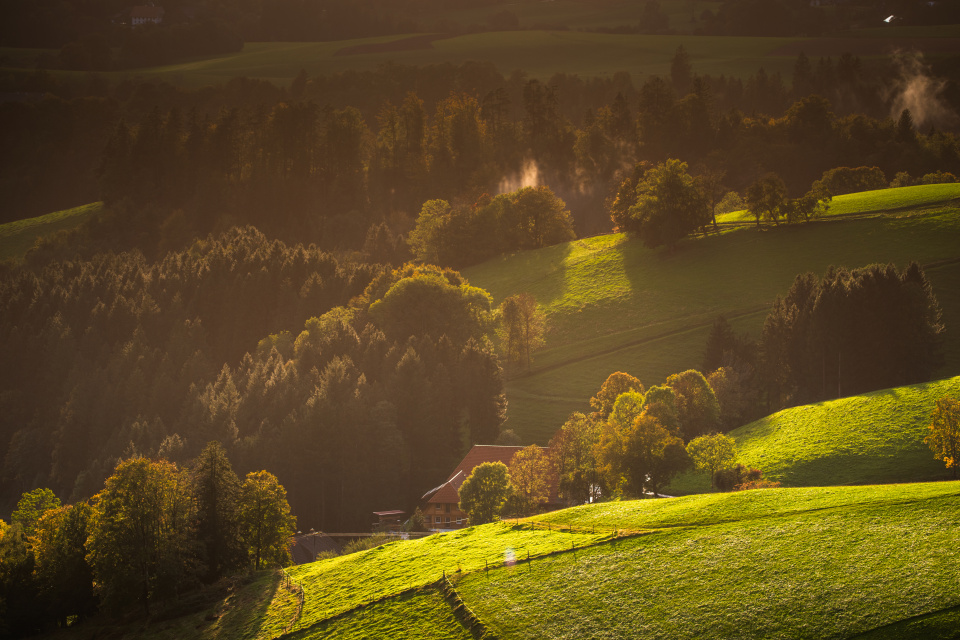 Abendstimmung bei St. Peter