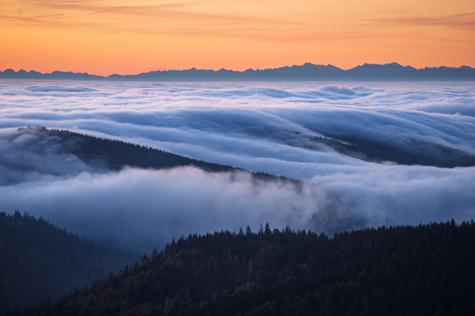 Nebelmeer und Alpensicht vom Feldberg