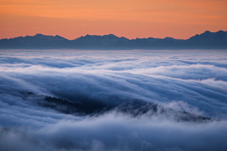 Nebelmeer und Alpensicht vom Feldberg