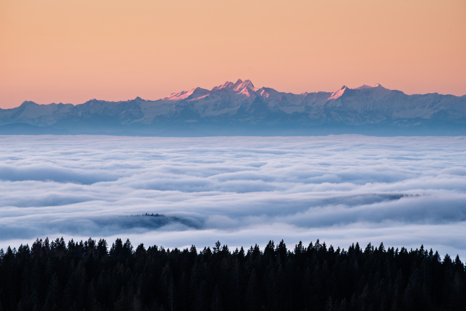 Nebelmeer und Alpensicht vom Feldberg