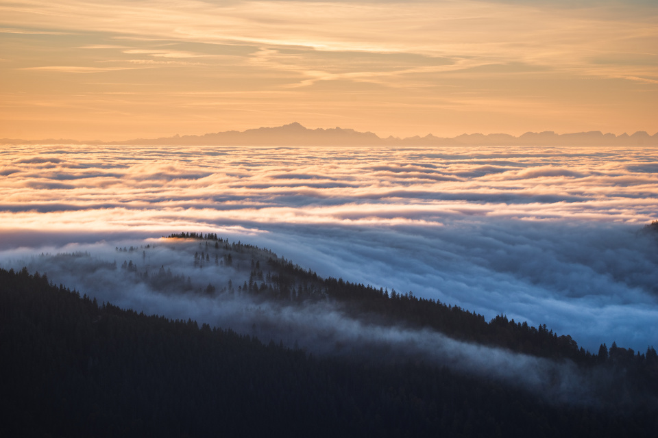 Nebelmeer und Alpensicht vom Feldberg