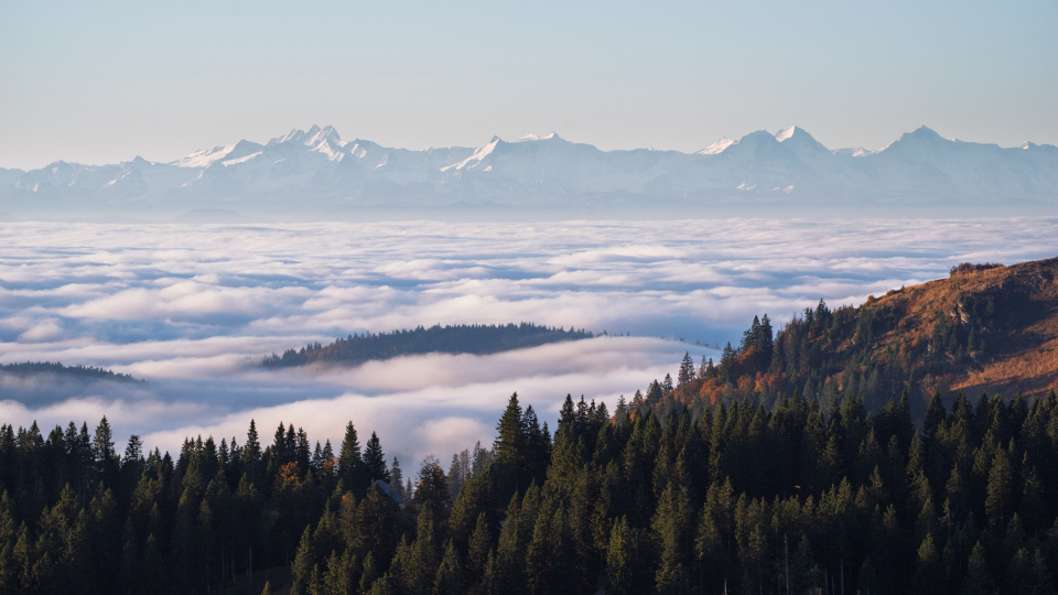Nebelmeer und Alpensicht vom Feldberg