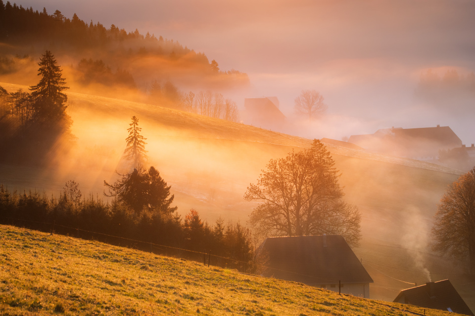 Nebel und Morgenlicht im Spriegelsbachtal