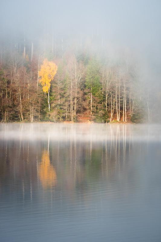 Auflösender Nebel am Titisee