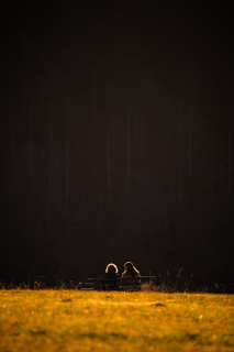 Aussicht im Gegenlicht