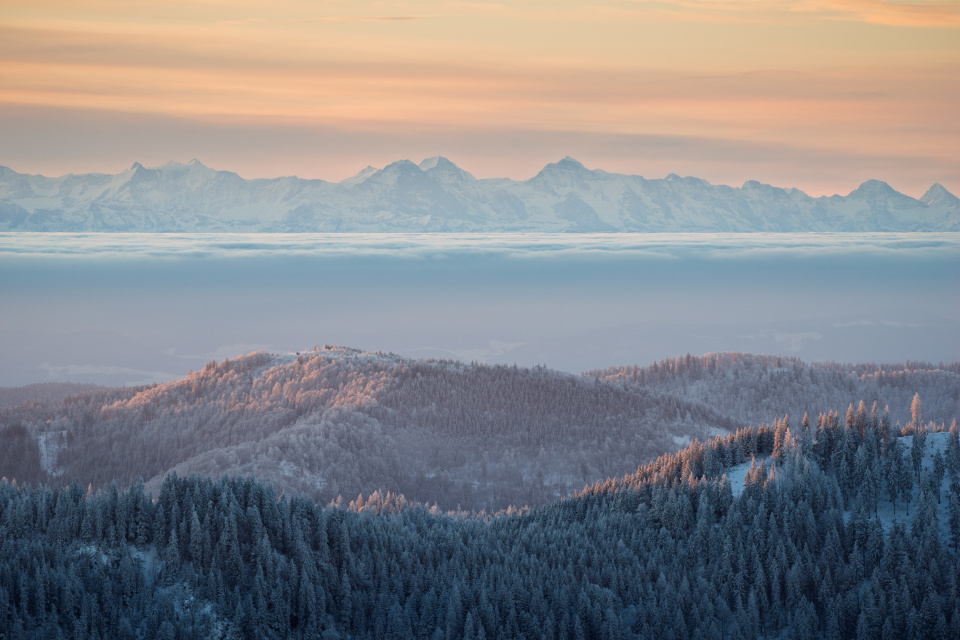 Alpensicht vom Feldberg